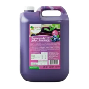 CONCENTRADO ARANDANO MACROFOOD 5L