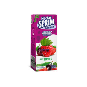 Nectar Sprim Recreo Berrie 190ml x 6